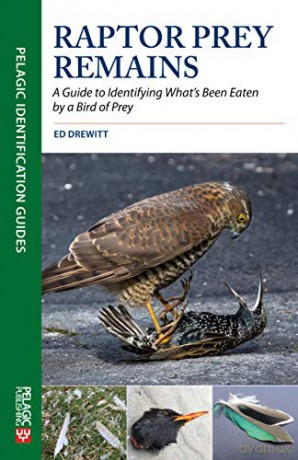 Raptor Prey Remains: A Guide to Identifying What's Been Eaten by a Bird of Prey (Pelagic Identification Guides): Guide Identifying - Ed Drewitt [KSIĄŻKA]