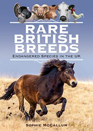 Rare British Breeds: Endangered Species in the UK - Sophie McCallum [KSIĄŻKA]