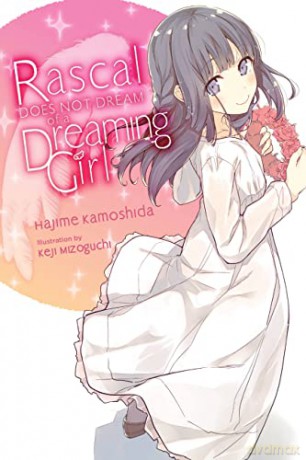 Rascal Does Not Dream of a Dreaming Girl (light novel): 6 (Rascal Does Not Dream (Light Novel)) - Hajime Kamoshida [KSIĄŻKA]
