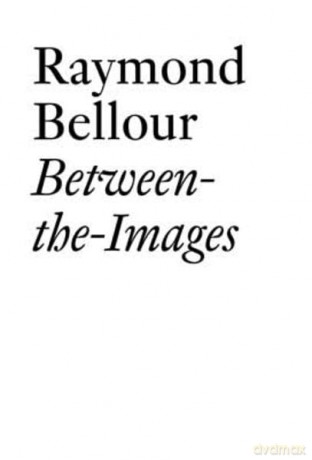 Raymond Bellour: Between-the-Images (Documents (JRP/Ringier)) - Raymond Bellour [KSIĄŻKA]