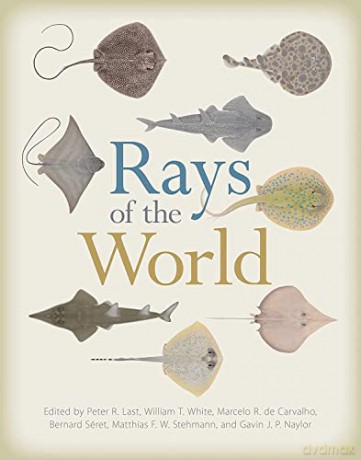 Rays of the World - Peter R. Last [KSIĄŻKA]