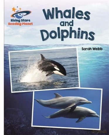 Reading Planet - Whales and Dolphins - White: Galaxy (Rising Stars Reading Planet) - Sarah Webb [KSIĄŻKA]