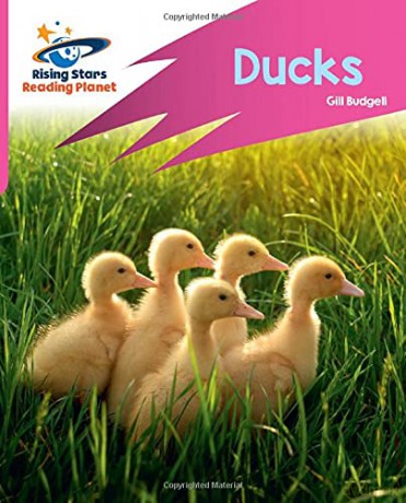 Reading Planet: Rocket Phonics - Target Practice - Ducks - Pink B - Abigail Steel [KSIĄŻKA]