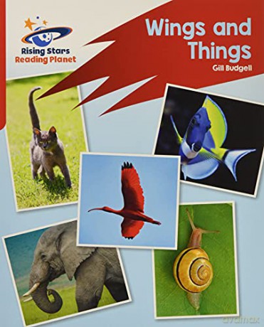 Reading Planet: Rocket Phonics - Target Practice - Wings and Things - Red B - Abigail Steel [KSIĄŻKA]