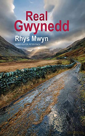 Real Gwynedd (Real Series) - Rhys Mwyn [KSIĄŻKA]