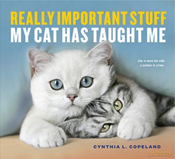 Really Important Stuff My Cat Has Taught Me [KSIĄŻKA]