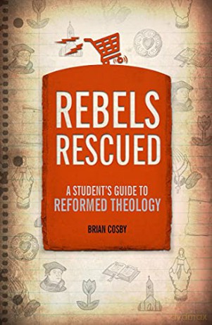 Rebels Rescued (A Students Guide) - Brian H. Cosby [KSIĄŻKA]