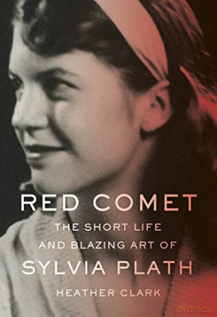 Red Comet: The Short Life and Blazing Art of Sylvia Plath [KSIĄŻKA]