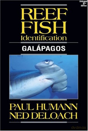 Reef Fish Identification: Galápagos - Paul Humann [KSIĄŻKA]