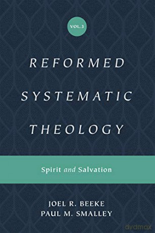 Reformed Systematic Theology, Volume 3: Volume 3: Spirit and Salvation - Joel R. Beeke [KSIĄŻKA]