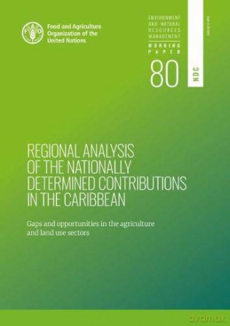 Regional analysis of the nationally determined contributions in the Caribbean: gaps and opportunities in the agriculture sectors: 80 (Environment and natural resources management: working paper) - K. Crumpler [KSIĄŻKA]