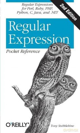 Regular Expression Pocket Reference: Regular Expressions for Perl, Ruby, PHP, Python, C, Java and .NET (Pocket Reference (O'Reilly)) - Tony Stubblebine [KSIĄŻKA]