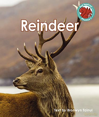 Reindeer (Red Squirrel Phonics Level 7) - Bronwyn Tainui [KSIĄŻKA]
