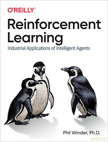 Reinforcement Learning: Industrial Applications of Intelligent Agents - Phil Winder Ph.D. [KSIĄŻKA]
