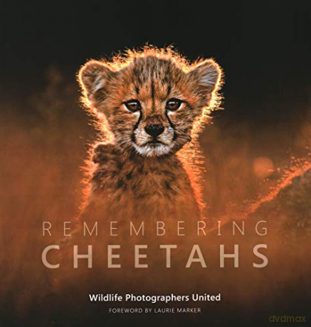Remembering Cheetahs (Remembering Wildlife): 5 - Margot Raggett [KSIĄŻKA]