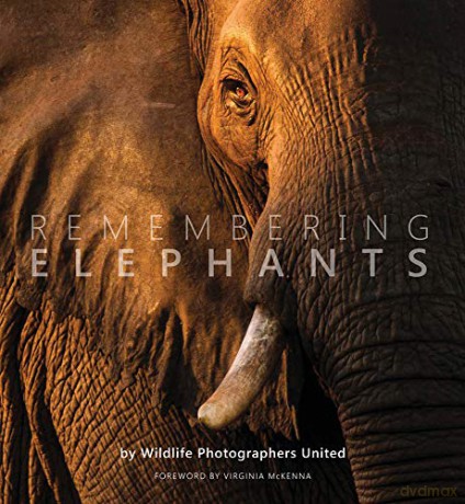 Remembering Elephants: 1 (Remembering Wildlife) - Remembering Wildlife [KSIĄŻKA]