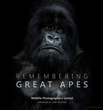 Remembering Great Apes (Remembering Wildlife): 3 - Margot Raggett [KSIĄŻKA]