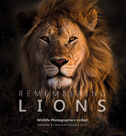 Remembering Lions (Remembering Wildlife): 4 - Margot Raggett [KSIĄŻKA]