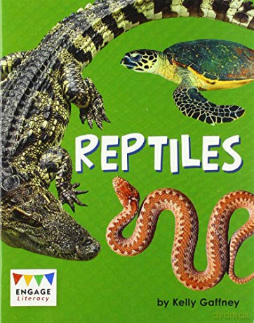 Reptiles (Engage Literacy Gold) - Kelly Gaffney [KSIĄŻKA]