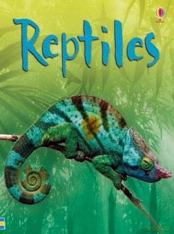 Reptiles (Usborne Beginners) - Catriona Clarke [KSIĄŻKA]