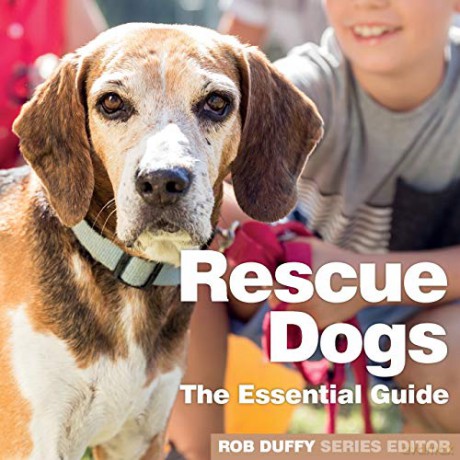 Rescue Dogs: The Essential Guide - Robert Duffy [KSIĄŻKA]