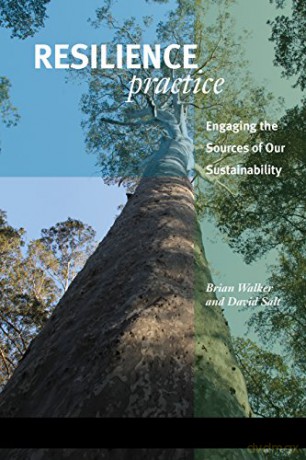 Resilience Practice: Building Capacity to Absorb Disturbance and Maintain Function - Brian Walker [KSIĄŻKA]