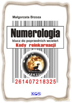 Numerologia. Klucz do poprzednich wcieleń. Kody reinkarnacji - Małgorzata Brzoza [KSIĄŻKA]
