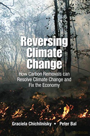 Reversing Climate Change: How Carbon Removals Can Resolve Climate Change And Fix The Economy (Environmental Energy Economics) - Graciela Chichilnisky [KSIĄŻKA]
