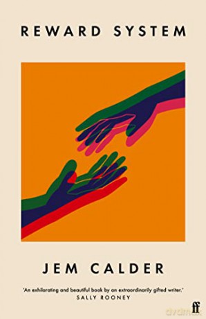 Reward System: 'A superb writer, by turns funny, graceful, acidly cynical, lyrical' GUARDIAN - Jem Calder [KSIĄŻKA]