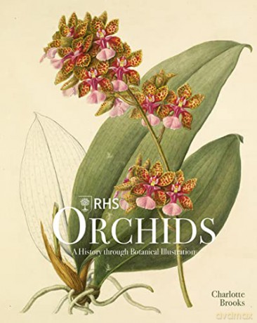 RHS Orchids: A History Through Botanical Illustration - Charlotte Brooks [KSIĄŻKA]