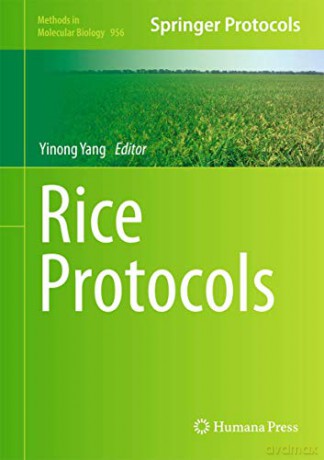 Rice Protocols: 956 (Methods in Molecular Biology, 956) - Yinong Yang [KSIĄŻKA]