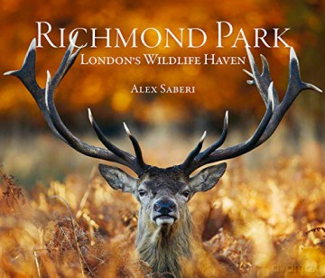 Richmond Park: London's Wildlife Haven - Photography by Alex Saberi [KSIĄŻKA]