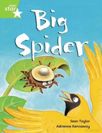 Rigby Star Guided Phonic Opportunity Readers Green: Big Spider Pupil Book (Single) (Star Phonics Opportunity Readers) [KSIĄŻKA]