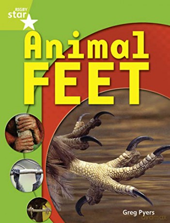 Rigby Star Guided Quest Year 1 Green Level: Animal Feet Reader Single (STARQUEST) - Greg Pyers [KSIĄŻKA]