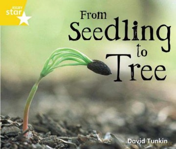 Rigby Star Guided Quest Yellow: From Seedling To Tree (STARQUEST) [KSIĄŻKA]