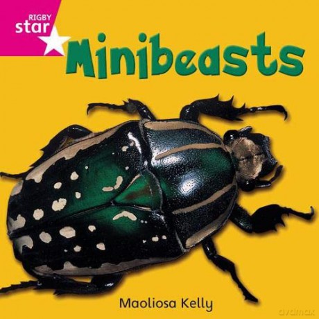 Rigby Star Independent Pink Reader 2 Minibeasts [KSIĄŻKA]