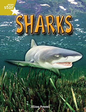 Rigby Star Independent Year 2 Gold Non Fiction Sharks Single - Jillian Powell [KSIĄŻKA]