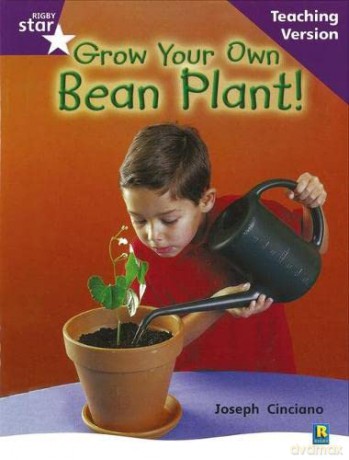 Rigby Star Non-fiction Guided Reading Purple Level: Grow your own bean Teaching Version (STARQUEST) [KSIĄŻKA]