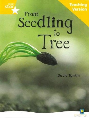 Rigby Star Non-fiction Guided Reading Yellow Level: From Seedling to Tree Teaching Version (STARQUEST) [KSIĄŻKA]