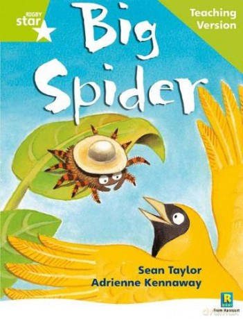 Rigby Star Phonic Guided Reading Green Level: Big Spider Teaching Version (Star Phonics Opportunity Readers) [KSIĄŻKA]