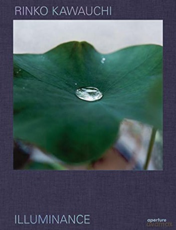 Rinko Kawauchi: Illuminance: The Tenth Anniversary Edition - Shinohara Masatake [KSIĄŻKA]