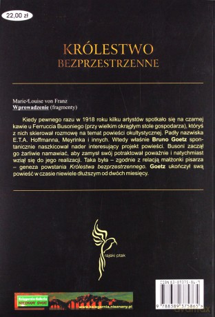 Królestwo bezprzestrzenne - Bruno Goetz [KSIĄŻKA]