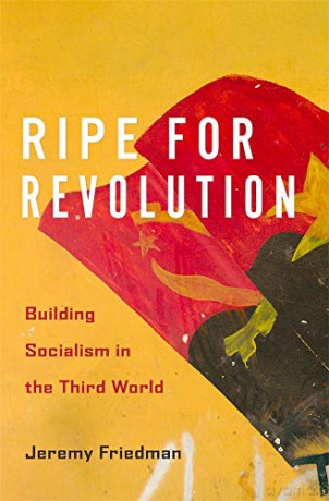 Ripe for Revolution: Building Socialism in the Third World - Jeremy Friedman [KSIĄŻKA]