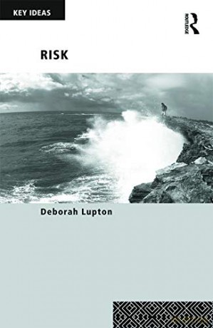 Risk: Second Edition (Key Ideas) - Deborah Lupton [KSIĄŻKA]