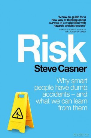 Risk: Why Smart People Have Dumb Accidents - And What We Can Learn From Them - Steve Casner [KSIĄŻKA]