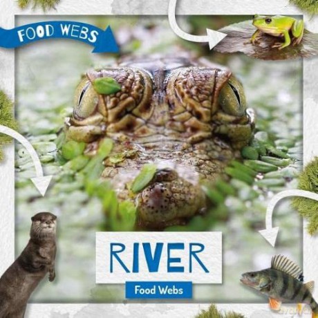 River Food Webs - Harriet Brundle [KSIĄŻKA]