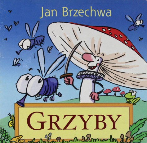 Grzyby [KSIĄŻKA]