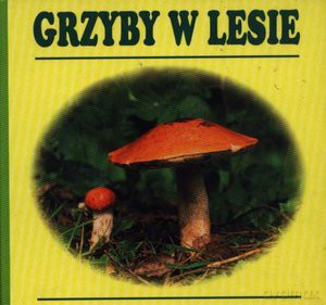 Grzyby w lesie [KSIĄŻKA]