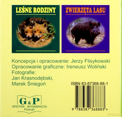 Grzyby w lesie [KSIĄŻKA]