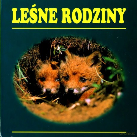 Leśne rodziny [KSIĄŻKA]